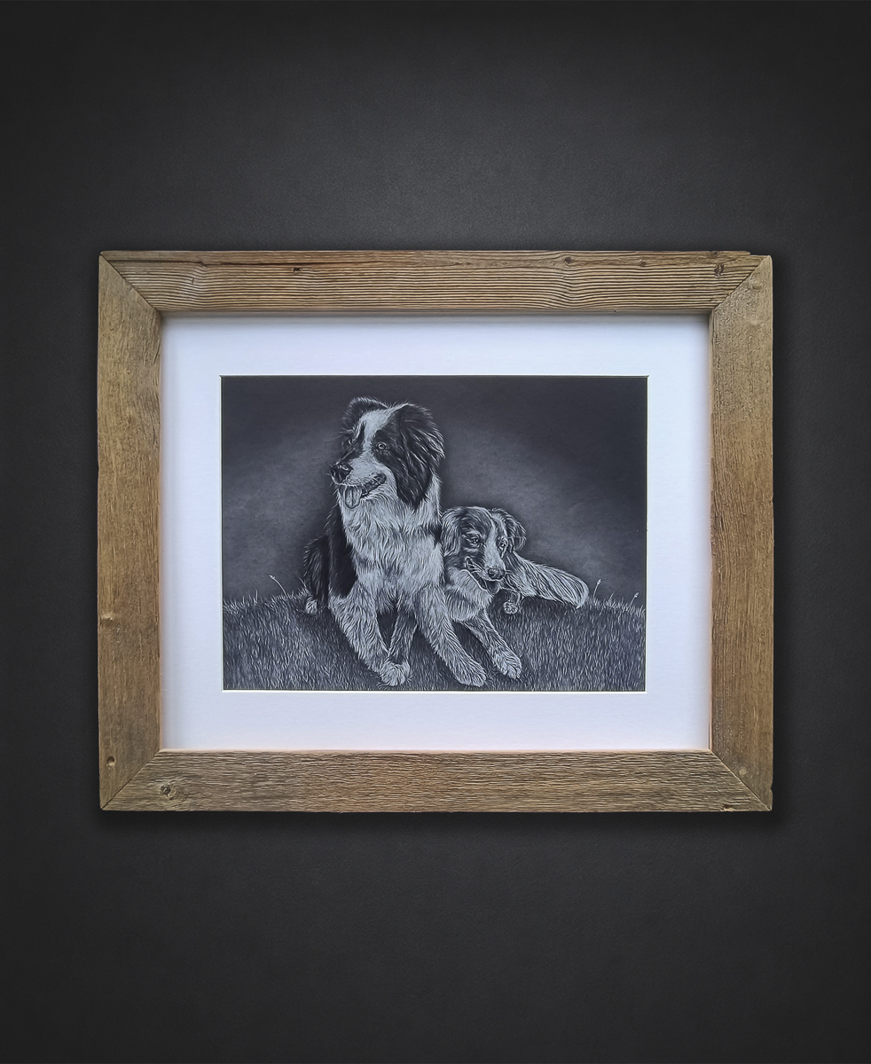 Hunde Zeichnung